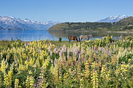 Vista desde la costanera / View from the lakeshore path